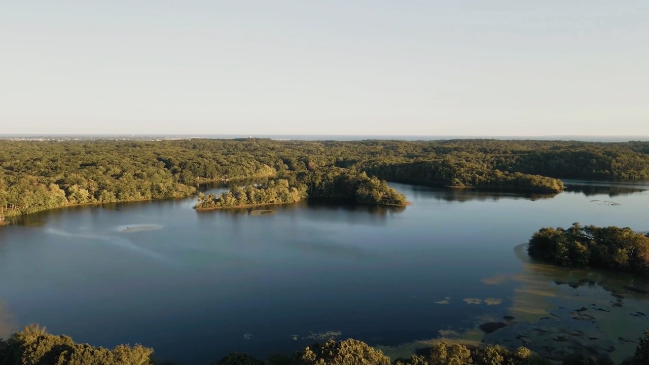 Video 1